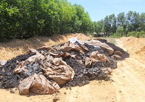 Khu vực rừng tràm nơi phát hiện 100 tấn chất thải tự chôn lấp của Formosa. Ảnh: Đ.H