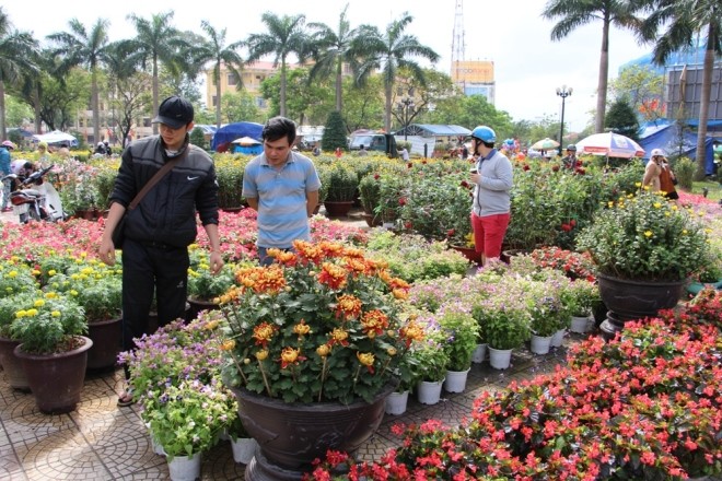 Chợ hoa Tết miền Trung nhộn nhịp