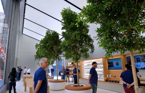 Cửa hàng mới sẽ có cây xanh, màn hình lớn và phòng họp. Ảnh: The Verge