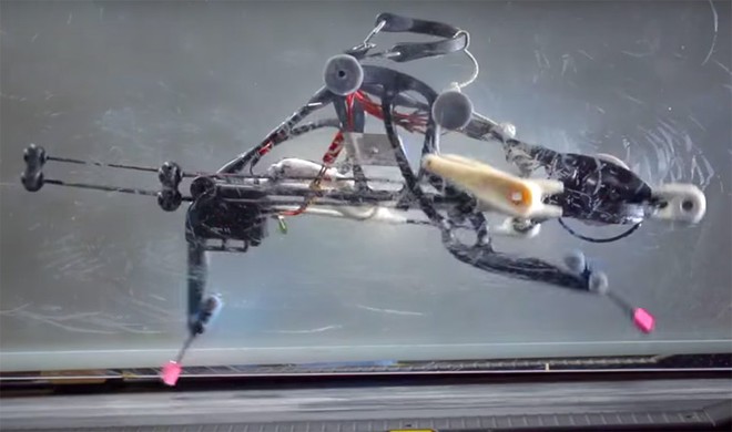 Robot chạy nhanh hơn cả nhà vô địch Olympic