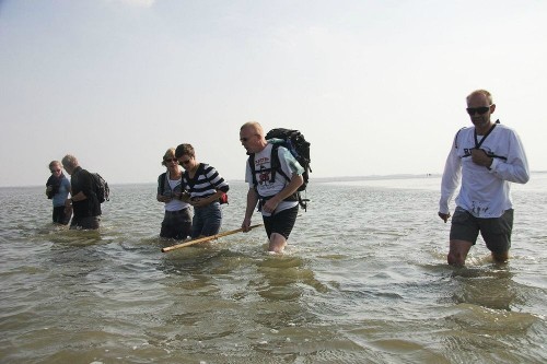 Du khách trải nghiệm "đi bộ" trên biển Wadden khi nước đang rút dần. Ảnh: Flickr.