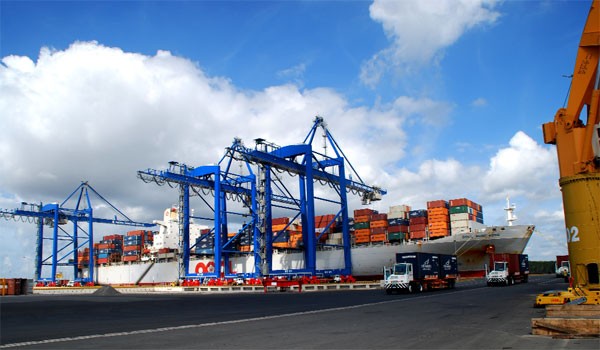 Cảng Cái Mép - Thị Vải dù đầu tư hàng tỷ USD nhưng công suất hoạt động chỉ 15-20%.
