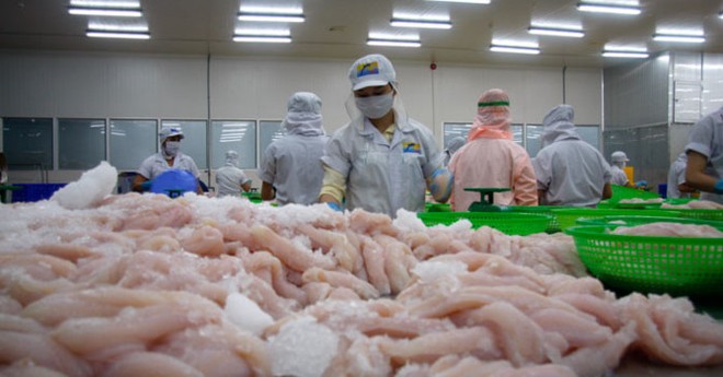 Kinh doanh thua lỗ, Thủy sản Hùng Vương (HVG) muốn bán hết cổ phiếu Thực phẩm Sao Ta