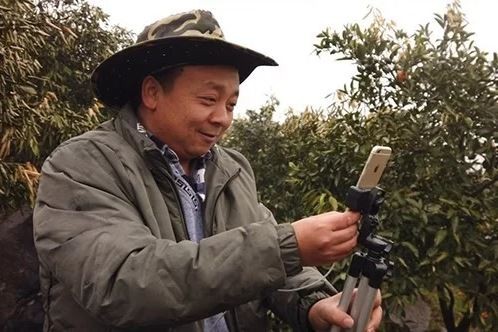 Zhong Haihui, một người nông dân trồng rau quả ở miền Trung Trung Quốc sử dụng iPhone 6, một chân tripod nhỏ và sạc dự phòng khi đang live-stream video tại vườn cam của mình. Ảnh: SCMP.