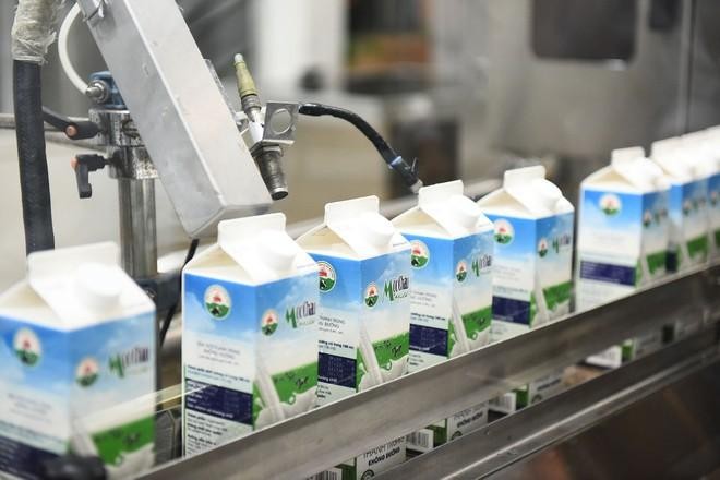 Cổ phiếu Mộc Châu Milk tăng kịch trần ngày giao dịch đầu tiên