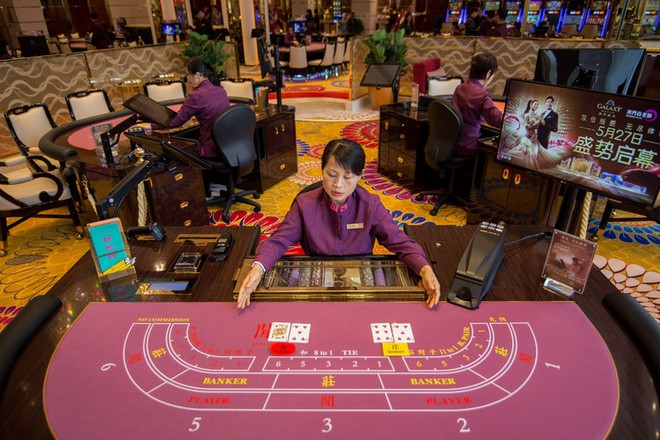 Cổ phiếu các sòng bạc tại Macau thoát khỏi đà giảm