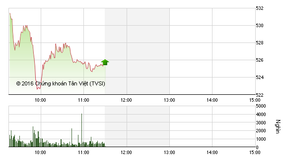 Phiên giao dịch sáng 18/1: Nhà đầu tư hoảng loạn, VN-Index mất 3,2%