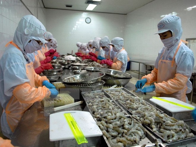 Chậm đăng ký giao dịch chứng khoán, Thủy sản và thương mại Thuận Phước (THP) bị phạt 300 triệu đồng
