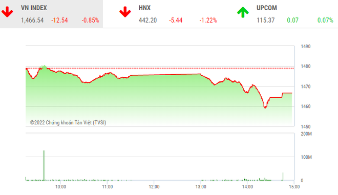 Giao dịch chứng khoán chiều 11/3: VN-Index đe dọa mốc 1.460 điểm, cổ phiếu gỗ vẫn tím lịm