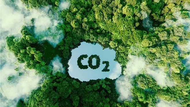 Việt Nam thuộc Top 5 quốc gia cung cấp tín chỉ carbon toàn cầu