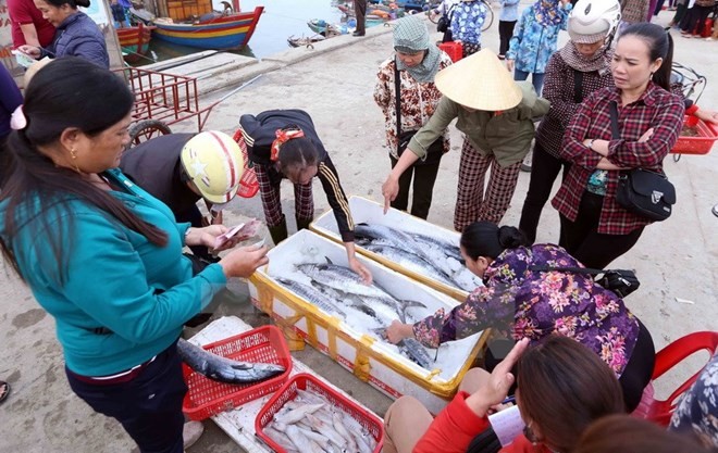 Hoạt động mua bán hải sản ở cảng cá Cửa Sót, xã Thạc Kim, huyện Lộc Hà, Hà Tĩnh