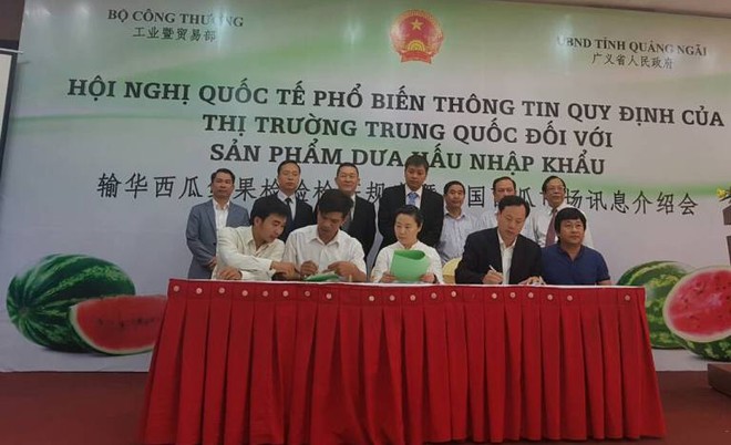Doanh nghiệp Việt Nam vừa ký một loạt hợp đồng xuất khẩu dưa hấu niên vụ 2018 sang thị trường Trung Quốc.