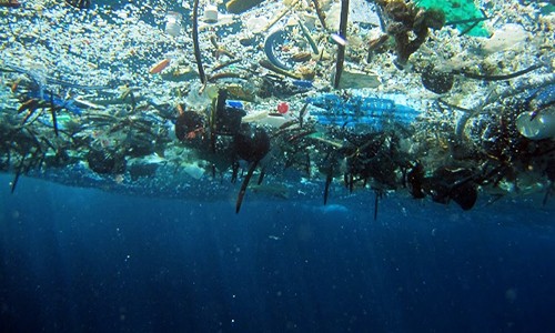 Địa Trung Hải bị ô nhiễm nghiêm trọng bởi rác thải nhựa. Ảnh: NOAA.