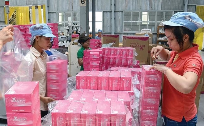 Khối ngoại đang chiếm ưu thế trong ngành sản xuất giấy tiêu dùng tại Việt Nam. Ảnh: Đức Thanh.