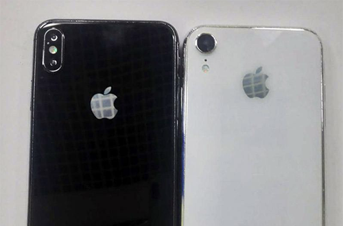 Mặt sau được cho là iPhone X Plus (bên trái) và iPhone 2018.