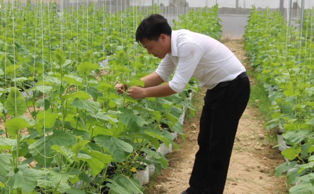 Thanh Hóa thu hút 755 doanh nghiệp đầu tư vào lĩnh vực nông nghiệp