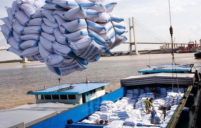 Xúc tiến xuất khẩu gạo cho doanh nghiệp Việt Nam 