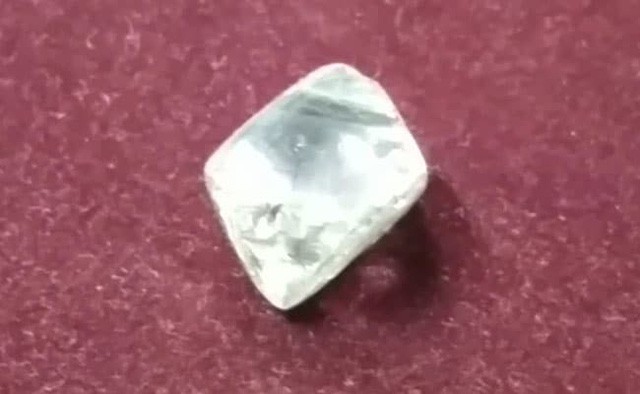 Viên kim cương lớn 44,59 carat cũng là viên kim cương lớn nhất được đào tại Panna từ năm 1961.