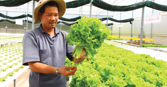 EU là cánh cửa đưa nông sản Việt vươn ra thị trường toàn cầu.