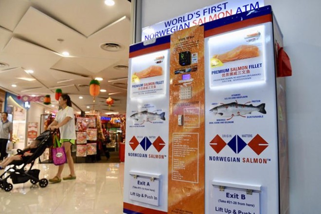 Máy bán cá hồi tự động của Norwegian Salmon ATM được đặt ở một số địa điểm tại Singapore. Ảnh: Straits Times.