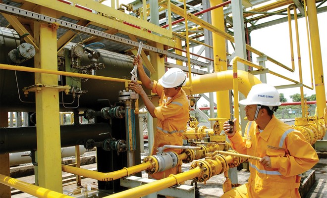 Hóa dầu Petrolimex (PLC): Kế hoạch tăng trưởng nhẹ cho năm 2019