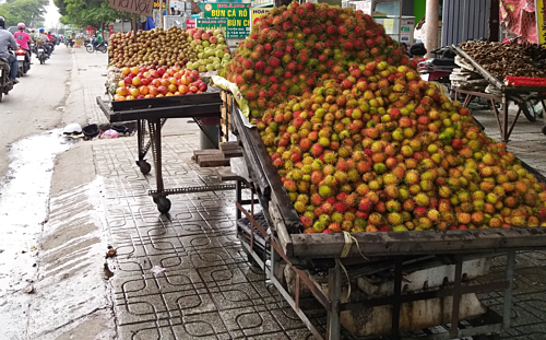 Chôm chôm được bán với giá rẻ ở lề đường Sài Gòn. Ảnh: Hồng Châu.