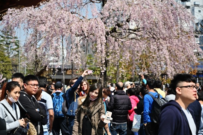 Du khách ngắm hoa anh đào nở rộ tại Tokyo, Nhật Bản, ngày 27/3/2019. Ảnh: AFP/TTXVN.