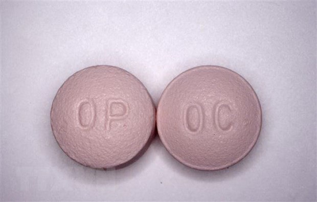 Thuốc giảm đau có chứa opioid. (Nguồn: AFP/TTXVN).