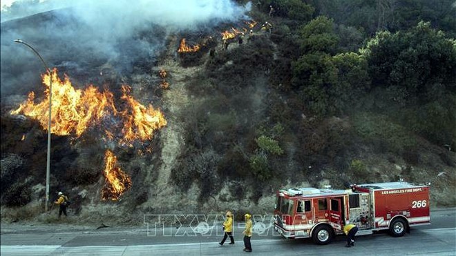 Nhân viên cứu hỏa nỗ lực khống chế các đám cháy rừng lan rộng tại Newhall, California, Mỹ, ngày 11/10. Ảnh: AFP/TTXVN.