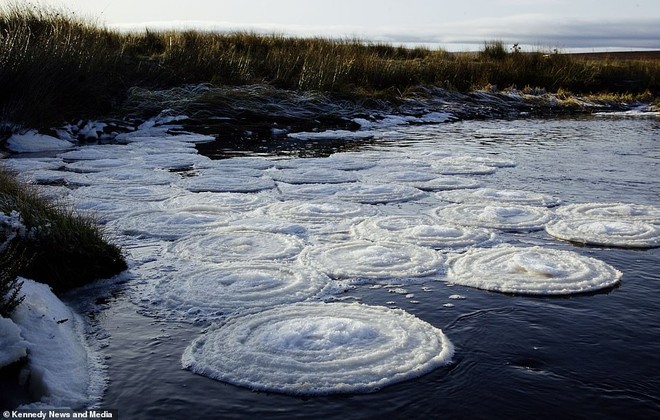 Hy hữu: Dòng sông bị phủ kín bởi “đĩa băng” ở Scotland