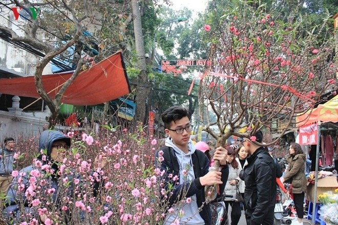Chợ hoa xuân phố cổ Hàng Lược, quận Hoàn Kiếm.