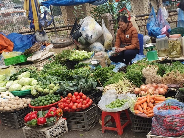Các loại thực phẩm được bày bán đã khá đa dạng và đầy đủ trong ngày mùng 4 Tết. (Ảnh: PV/Vietnam+).