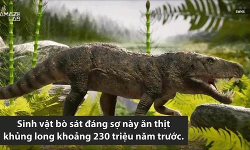Cá sấu ăn thịt khủng long cách đây 230 triệu năm
