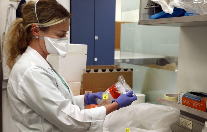 Kỹ thuật viên xét nghiệm các mẫu bệnh phẩm COVID-19 tại phòng thí nghiệm ở bệnh viện Ichilov, Tel Aviv, Israel, ngày 17/3/2020. (Ảnh: THX/TTXVN).