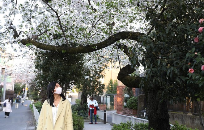 Người dân đeo khẩu trang phòng lây nhiễm COVID-19 tại Tokyo, Nhật Bản, ngày 22/3. (Ảnh: THX/TTXVN).