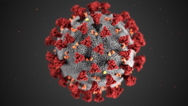 Hình minh họa cấu trúc 3D của virus SARS-CoV-2. Ảnh: CDC.