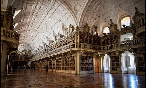 Đàn dơi bảo vệ sách cổ trong thư viện 300 năm tuổi