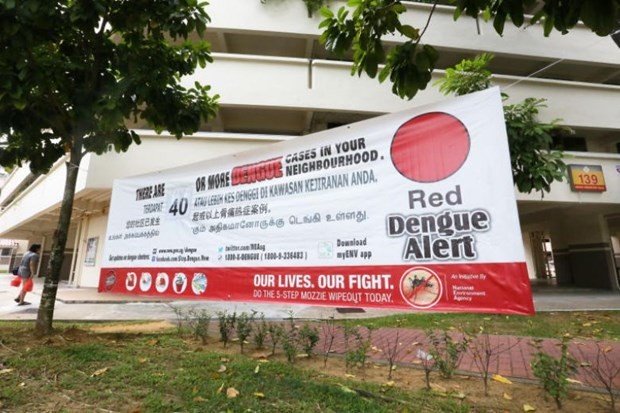 Áp phích nhắc nhở người dân về dịch sốt xuất huyết tại Singapore. (Ảnh: The Straits Times).