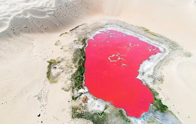 Hồ muối đỏ như máu giữa lòng sa mạc