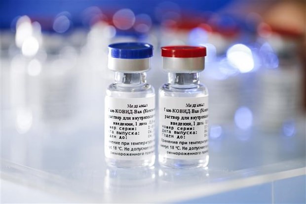 Vắcxin ngừa bệnh COVID-19 của Nga do Viện khoa học nghiên cứu về dịch tễ học và vi trùng học Gamaleya phát triển, tại Moskva ngày 6/8/2020. (Ảnh: AFP/TTXVN).