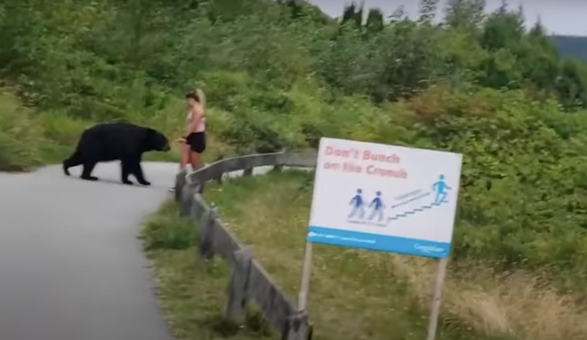 Đang tập thể dục gặp phải gấu hoang dã, cô gái bỏ chạy "thục mạng" tìm đường thoát