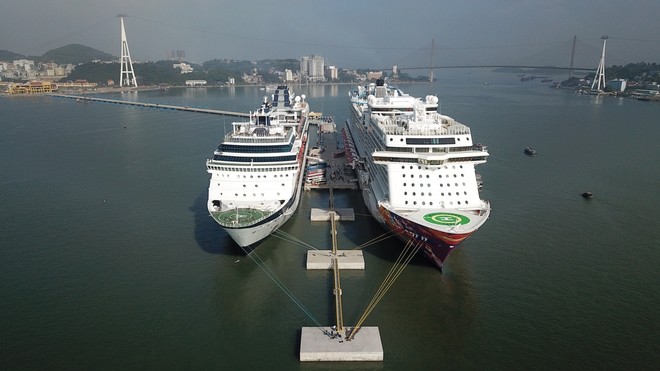 Du thuyền quốc tế cập Cảng tàu khách quốc tế Hạ Long.