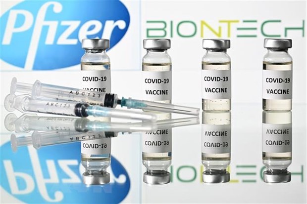 Hình ảnh mô phỏng vắcxin ngừa COVID-19 do các Tập đoàn BioNTech và Pfizer phối hợp sản xuất. (Ảnh: AFP/TTXVN).