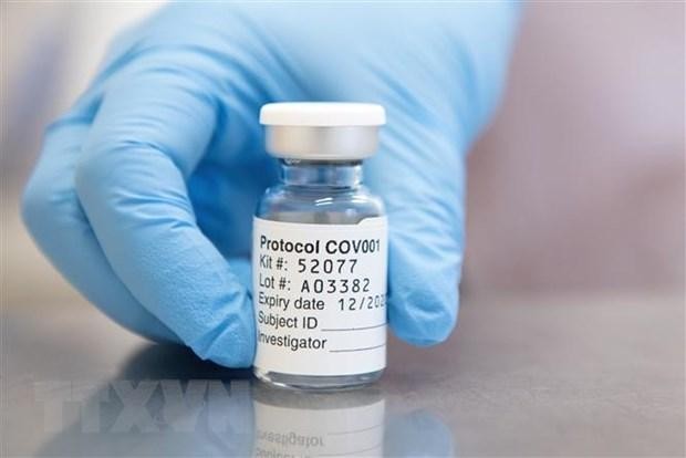 Vắcxin phòng COVID-19 do hãng dược phẩm AstraZeneca phối hợp với Đại học Oxford của Anh bào chế. (Ảnh: AFP/ TTXVN).