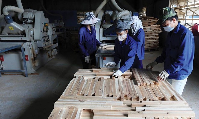 Ngành gỗ đặt mục tiêu xuất khẩu 13 tỷ USD trong năm 2021. Ảnh: Đức Thanh.