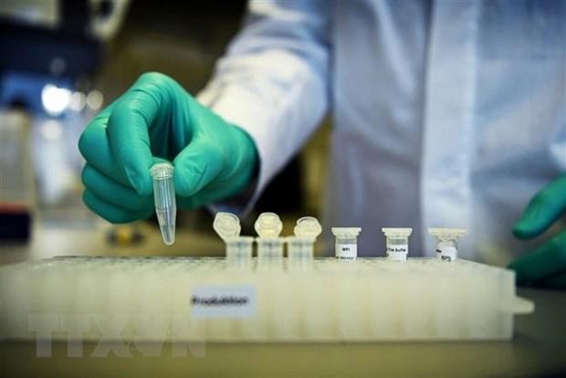 Thử nghiệm chế vắcxin tại Công ty CureVac của Đức. (Ảnh: Reuters/TTXVN).