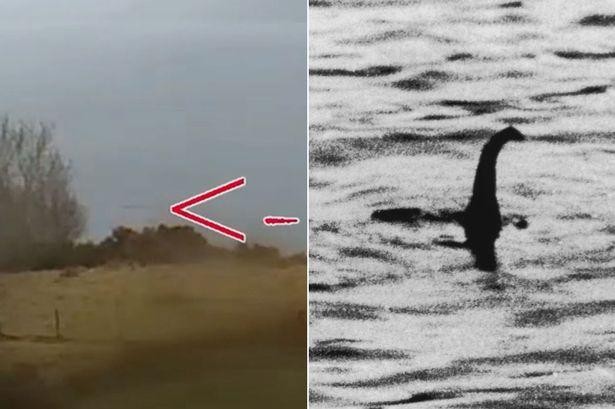 Chưa bao giờ quái vật hồ Loch Ness lại xuất hiện nhiều như trong năm 2021