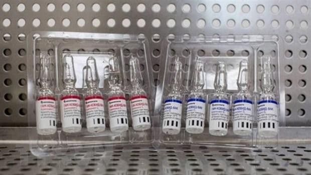 Vaccine Sputnik V phòng COVID-19 do Viện nghiên cứu dịch bệnh và vi trùng học Gamaleya của Nga phát triển. (Ảnh: Bloomberg/TTXVN).