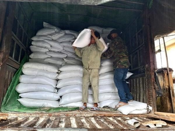 Xuất gạo dự trữ quốc gia để cứu trợ khẩn cấp cho người dân. (Ảnh minh hoạ: Quốc Dũng/TTXVN).