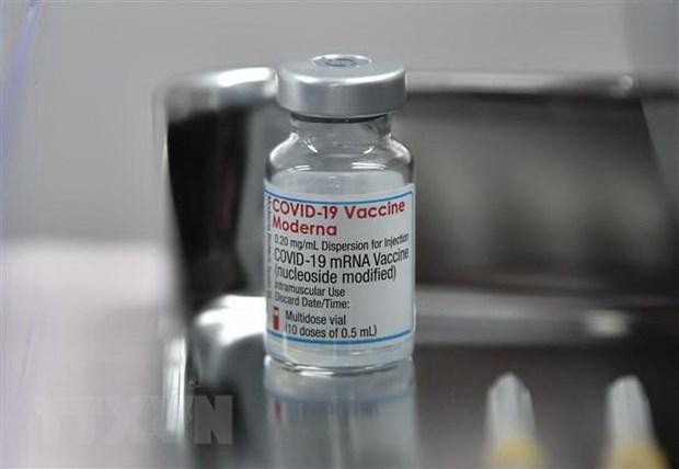 Vaccine ngừa COVID-19 của hãng dược Moderna. (Ảnh: AFP/TTXVN).